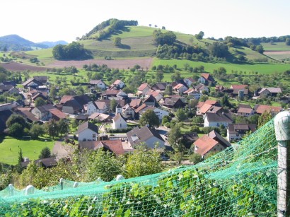 Mandach