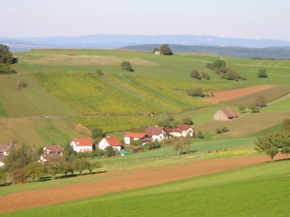 Trottenmatt